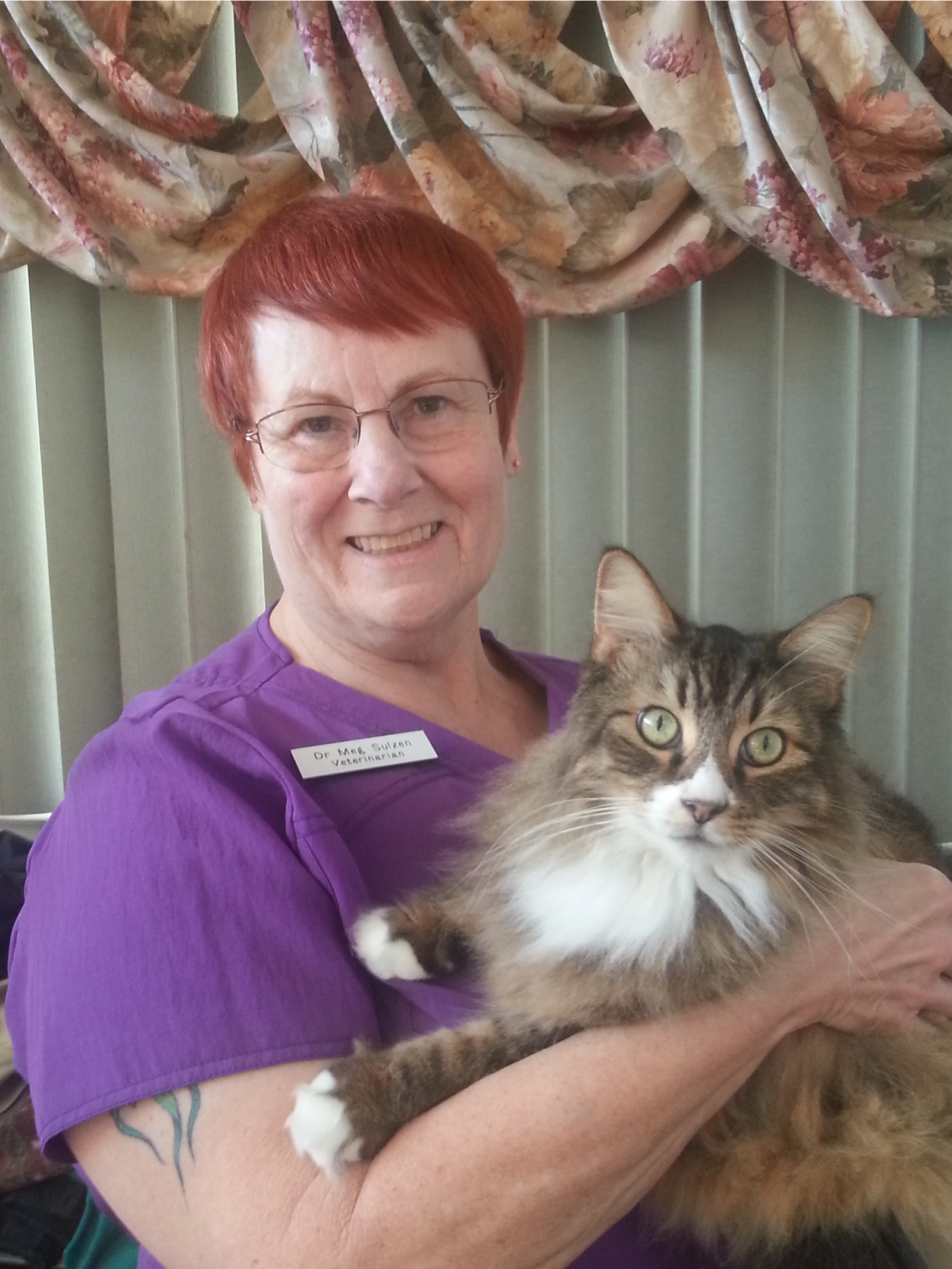 Orange County Home Pet Euthanasia Dogs And Cats