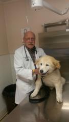 Dr. Don Shields with Cooper Bradley's dog