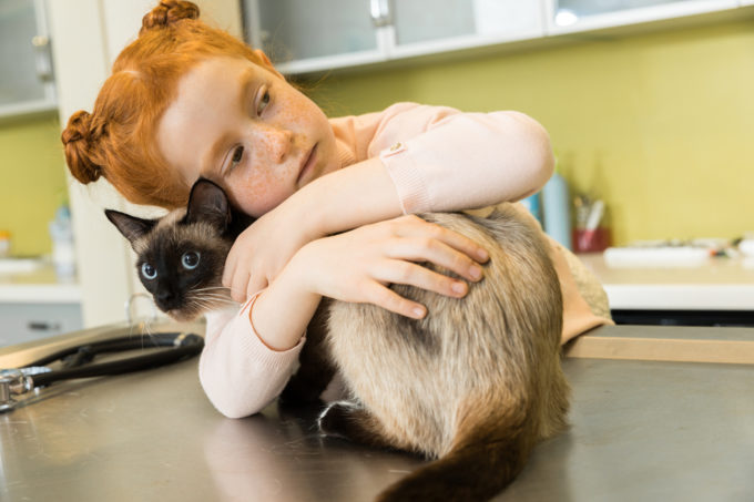 at home euthanasia, pet, sick pet