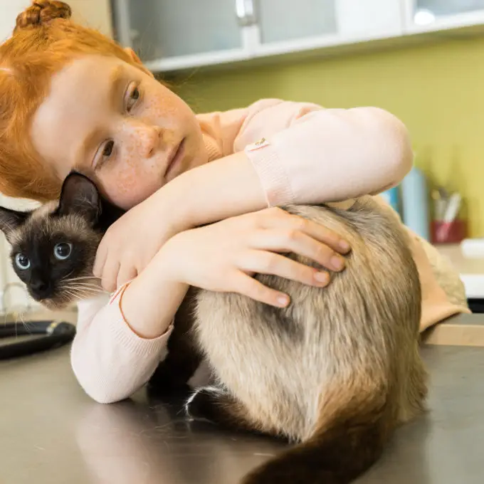 at home euthanasia, pet, sick pet