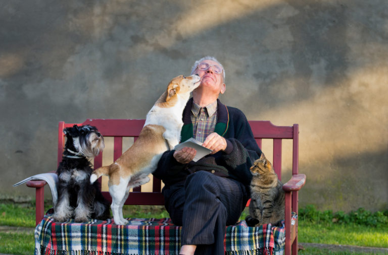 dementia, pets, dog, cat, canine, cognitive