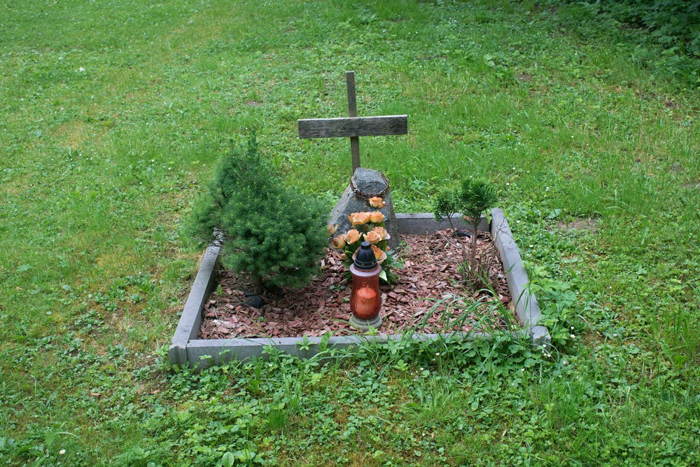 A Pet S Home Burial Pet Loss At Home   Home Pet Burial 