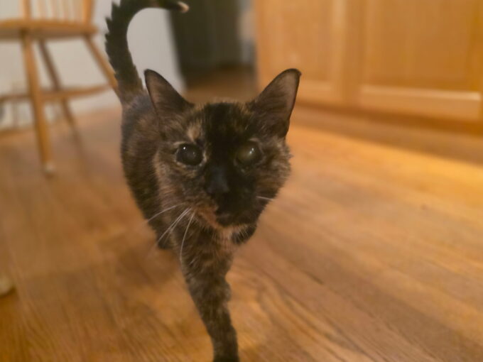 Thelma