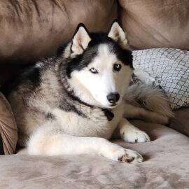 Luna